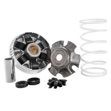 Variatore Malossi Multivar 2000 Aprilia SR Scarabeo 50 2T Motore Piaggio