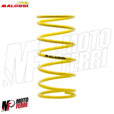 MF9729 Variatore Malossi Multivar 2000 Yamaha RayZR 125 2025 2026 E5+ (E34UE)