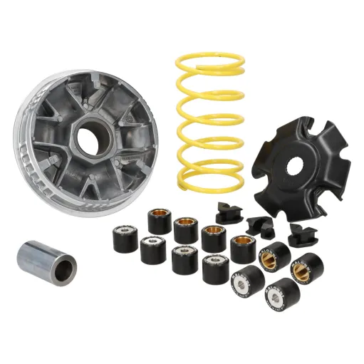MF0129 Variatore Malossi Multivar 2000 Medley S 125 150 200 da 2016 a 2026 E5+