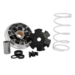 Variatore Malossi Multivar 2000 Benelli 491 / Beta Ark 50 2T Minarelli