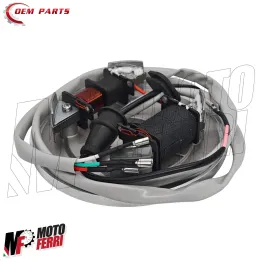 MF3018 Statore Volano Piaggio APE TM P602 P703 FL2 220 CAR P2 P3 P501 P601 2