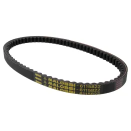 MF2434 Cinghia Trasmissione Malossi X K Belt Over Range F12 Phantom F15 50 2T