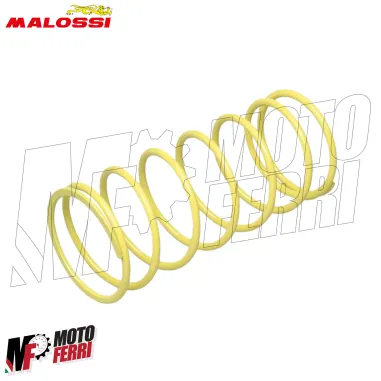 MF2895 Variatore Malossi Multivar 2000 Kymco 300 AGILITY PEOPLE XCITING X-TOWN