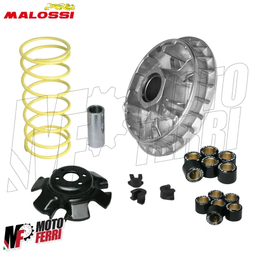 MF2895 Variatore Malossi Multivar 2000 Kymco Agility 300 LC 2020