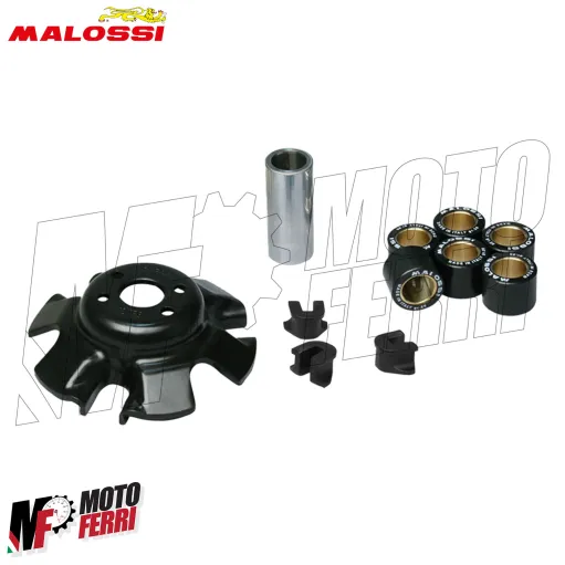 MF2893 Variatore Malossi Multivar 2000 Kymco People S / XCITING 250 LC