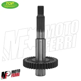 MF2174 Ingranaggi Rapporti Secondari 16 / 41 TOP Beta ARK 50 2T Motore Minarelli 2
