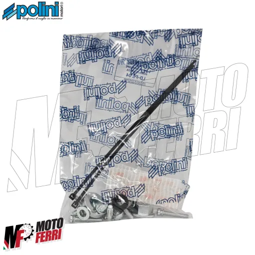 MF9745 Accensione Elettronica Polini For Race Luci SR Scarabeo 50 2T Minarelli