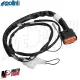 MF9745 Accensione Elettronica Polini For Race con Luci Beta ARK 50 2T Minarelli