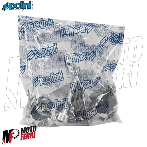 MF9748 Forcellone Polini Torsen WD Aprilia SR 50 2T Motore Minarelli
