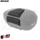 MF9765 Schienale Schienalino Passeggero per Bauletto SHAD SH58X / SH59X