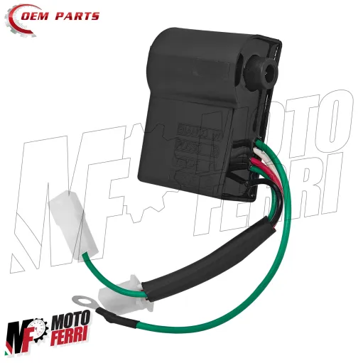 MF9769 Centralina Elettronica Malaguti per Beta ARK 50 2T AC LC