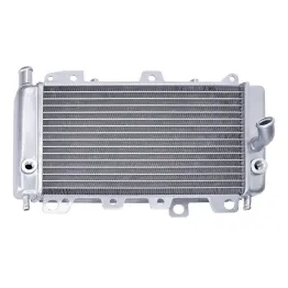 MF9809 Radiatore Acqua Piaggio Beverly 125 RST SPORT TOURER MIC da 2001 a 2010