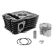 MF9817 Cilindro DM 39 Piaggio Liberty 50 iGet 4T dal 2015 al 2020