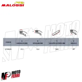 MF8627 Cinghia Malossi Piaggio Beverly 300 HPE dal 2021 al 2024 X K Belt 2