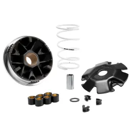 MF8625 Variatore Malossi Zontes 125D 2025 2026 E5+ Multivar 2000