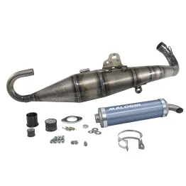 MF9822 Marmitta Malossi Scooter Racing MHR Gilera Runner FX 125 FXR 180 SP 2T LC