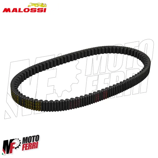 MF8627 Cinghia Malossi Piaggio Beverly 310 S HPE 2025 2026 E5+ X K Belt