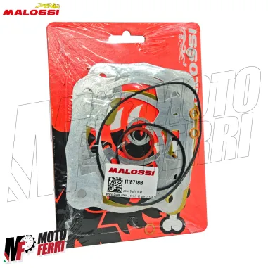 MF8819 Cilindro Malossi DM 52 MHR 100cc FLANGED MOUNT SR 50 2T LC Mot Piaggio