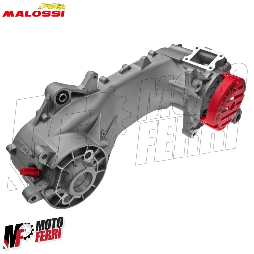 MF4953 Carter Malossi MHR 100 cc RC-ONE Piaggio NRG MC3 MC2 POWER DD DT 50 2T LC