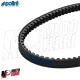 MF1905 Cinghia Polini Minarelli 50 2T F12 F15 Booster SR Aerox Nitro Neos 50 2T
