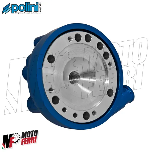MF4511 Cilindro Polini PRE4 DM 52 100cc Piaggio ZIP SP 50 2T LC