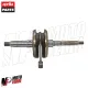 MF8146 Albero Motore Categoria 2 Aprilia SR GT 125 200 da 2021 a 2026 E5+