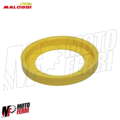 MF8180 Frizione Malossi Maxi Fly Clutch Kymco DT X360 350 2025 2026 E5+