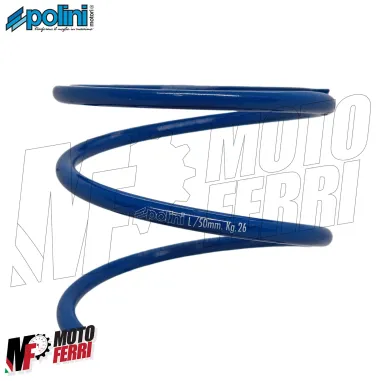 MF6828 Molla Contrasto Polini Variatore Slider EVO Aerox JOG BWS Neos 50 2T 4,1