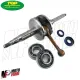 Albero Motore TOP PERFORMANCE Cuscinetti Paraoli Malaguti F12 PHANTOM F10 50 2T