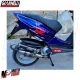 MF5260 Silenziatore Marmitta Giannelli Shot V4 Scooter in Carbonio di ricambio