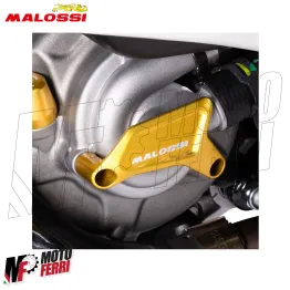 MF5265 Protezione Pompa Acqua Malossi CNC Vespa GTS 300 Super HPE da 2019 a 2024 2