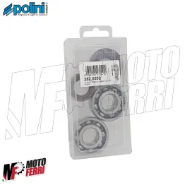 MF1465 Kit Cuscinetti Paraoli Banco Albero Motore Polini Yamaha Minarelli 50 2T 2