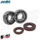 MF1465 Cuscinetti Paraoli Banco Albero Motore Polini Booster Spirit Nitro 50 2T