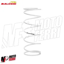 MF8554 Variatore Malossi Multivar 2000 SYM SYMPHONY ST 125 2021 2022 2023 2024 2