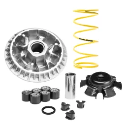 MF8844 Variatore Malossi Multivar 2000 SYM JOYMAX Z 300 da 2021 a 2026