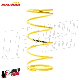 MF8844 Variatore Malossi Multivar 2000 SYM JOYMAX Z 300 da 2021 a 2026 2