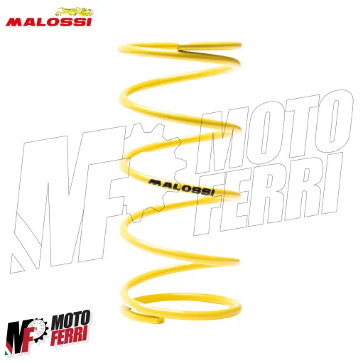 MF8844 Variatore Malossi Multivar 2000 SYM HD CRUISYM ADX 300