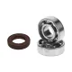 MF8245 Kit Polini Cuscinetti C4 Paraolio Carter Albero Motore Piaggio Si Ciao