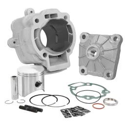 MF3540 Cilindro Malossi 172cc DM 65 Piaggio Hexagon LX LXT 125 150 180 2T H2O
