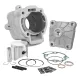 MF3540 Cilindro Malossi 172cc DM 65 Piaggio Hexagon LX LXT 125 150 180 2T H2O