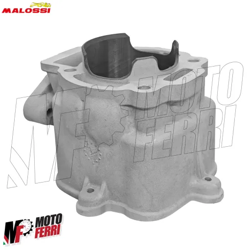 MF3540 Cilindro Malossi 172cc DM 65 Piaggio Hexagon LX LXT 125 150 180 2T H2O