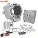 MF3540 Cilindro Malossi 172cc DM 65 Piaggio Hexagon LX LXT 125 150 180 2T H2O