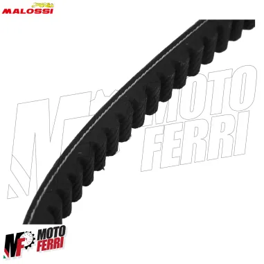 MF3541 Cinghia Malossi Suzuki Sixteen 125 150 LC X Belt in Kevlar