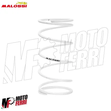 MF3539 Variatore Malossi Multivar 2000 Suzuki Burgman AN 400 da 2010 a 2024