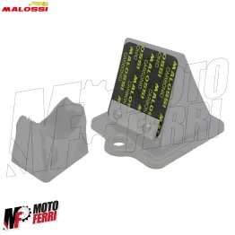 MF4673 Lamelle Pacco Lamellare Malossi VL14 VL16 in Carbonio 0,30mm MHR Team 90° 2