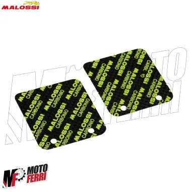 MF4673 Lamelle Pacco Lamellare Malossi VL14 VL16 in Carbonio 0,30mm MHR Team 90°