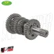 MF1599 Cambio Completo Motore Minarelli AM6 2 Serie TOP PERFORMANCES