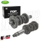 MF1599 Cambio Completo Motore Minarelli AM6 2 Serie TOP PERFORMANCES