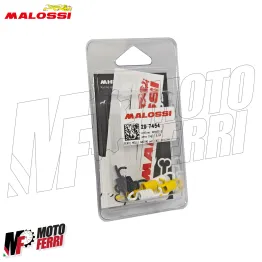 MF3779 Molle Mollettine Frizione Originale Malossi Piaggio ZIP FAST RIDER 50 2T 2