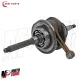 MF6224 Albero Motore e Cuscinetti per Yamaha Majesty 125 dal 1998 al 2005